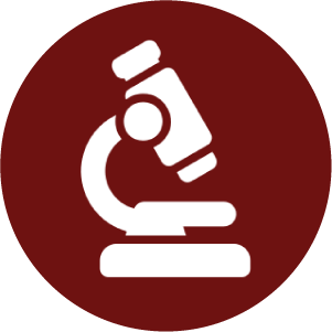 1744781881_Icon 24.png